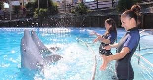 Acquario Selwo Marina